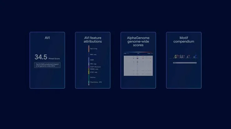 Google DeepMind'dan Devrim Niteliğinde Hamle: AlphaGenome Atlas ile 9 Milyar DNA Değişimi Haritalandı 1 google deepminddan devrim niteliginde hamle alphagenome atlas ile 9 milyar dna degisimi haritalandi 1